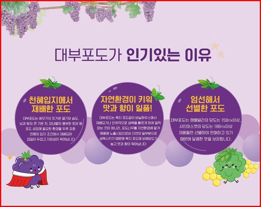 대부도 포도 인기 이유