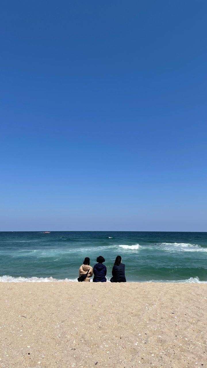 대부도 해안 풍경을 바라보는 방문객들의 모습