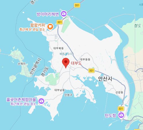 대부도를 위에서 내려다 본 지도 이미지