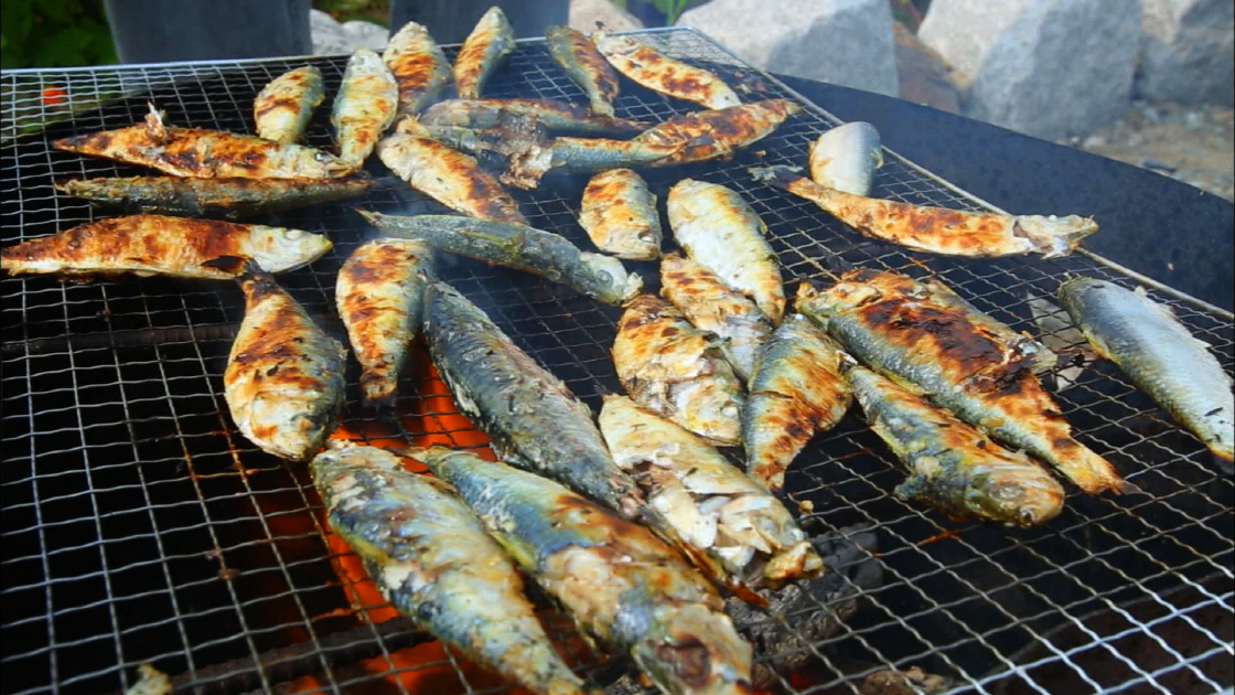 전어구이 한 판