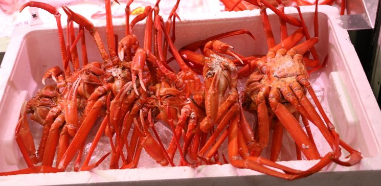 대부도 수산시장의 게