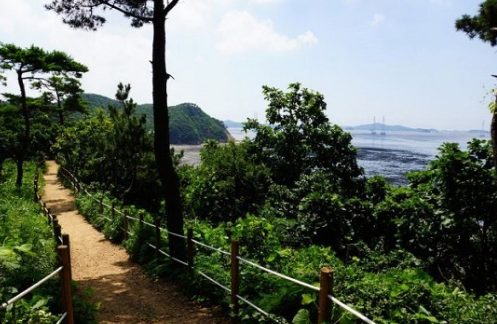구봉도 낙조전망대로 가는 숲길과 아치교 입구